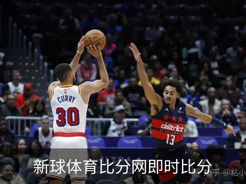 关于新球体育比分网即时比分